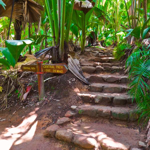 Vallée de Mai